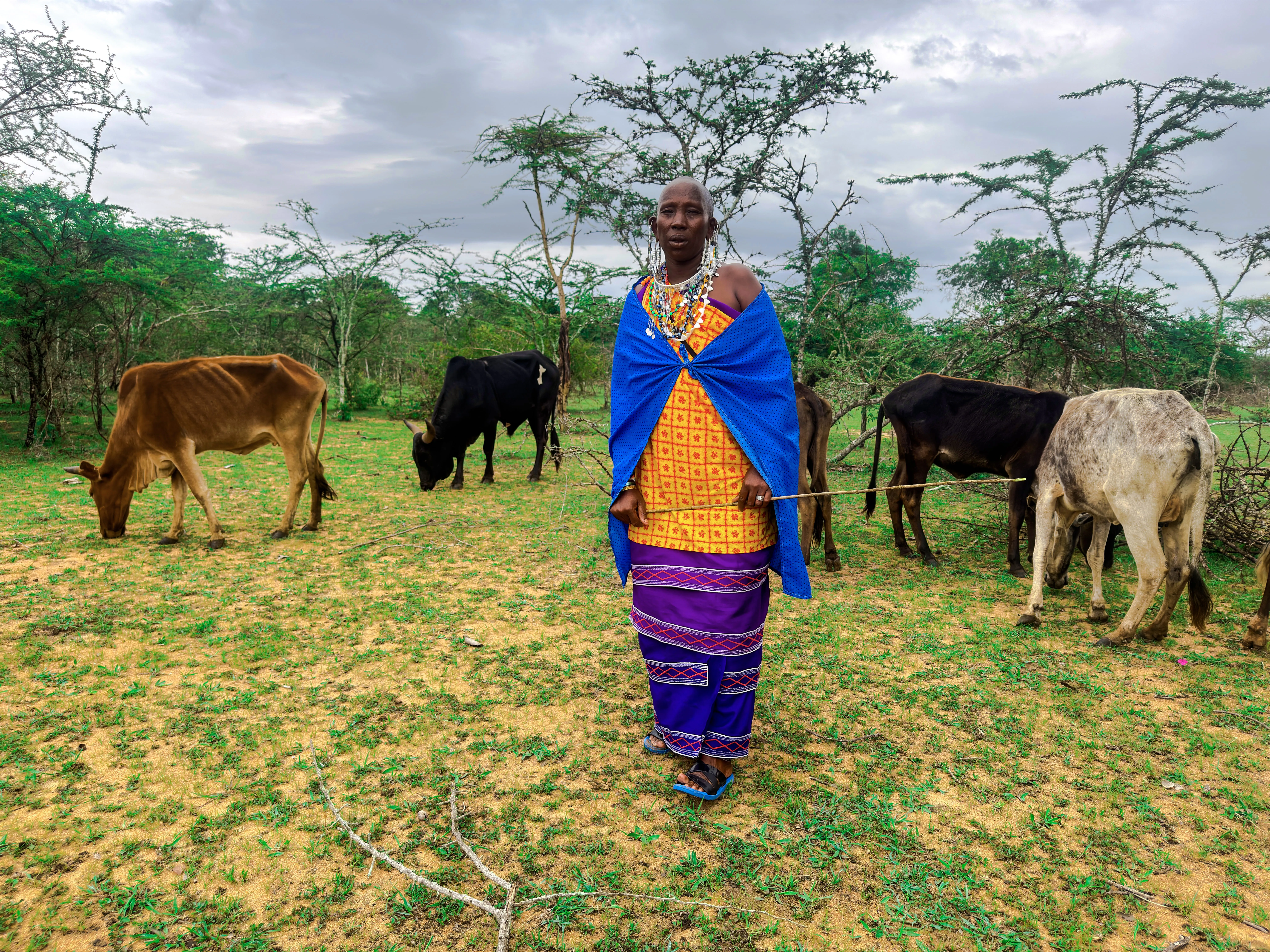 Livestock and Climate